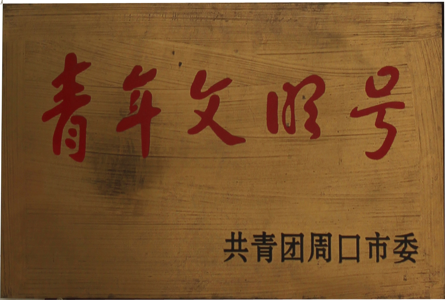 共青團(tuán)周口市委青年文明號
